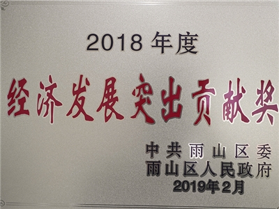 2018年度榮獲經濟發(fā)展突出貢獻獎